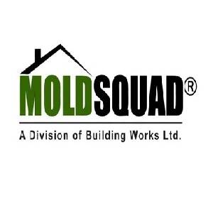 Mold Squad Mold Squad